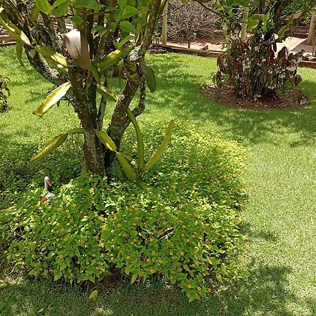 Pousada Chacara Vivalli โอลัมบรา ภายนอก รูปภาพ