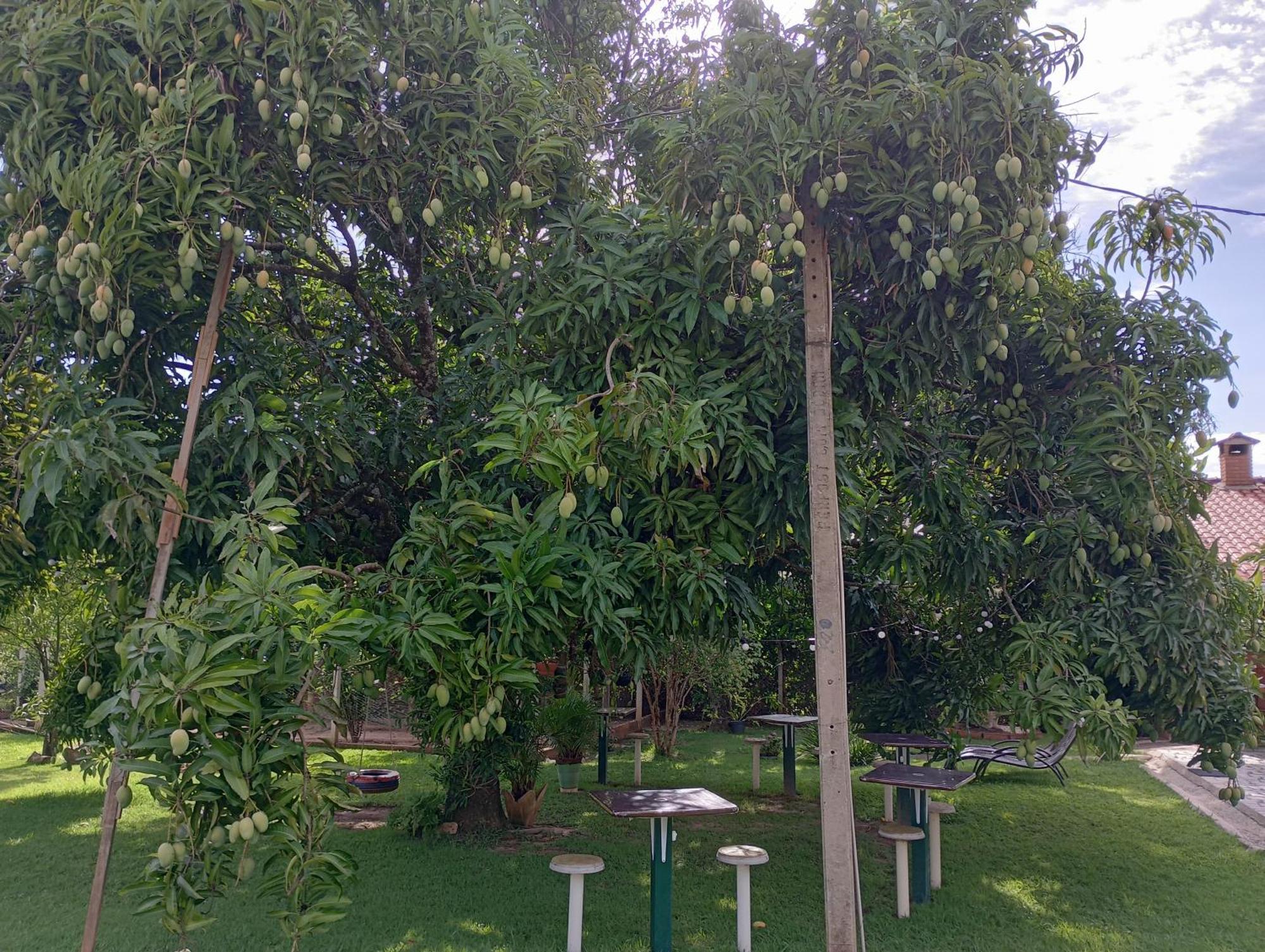 Pousada Chacara Vivalli โอลัมบรา ภายนอก รูปภาพ