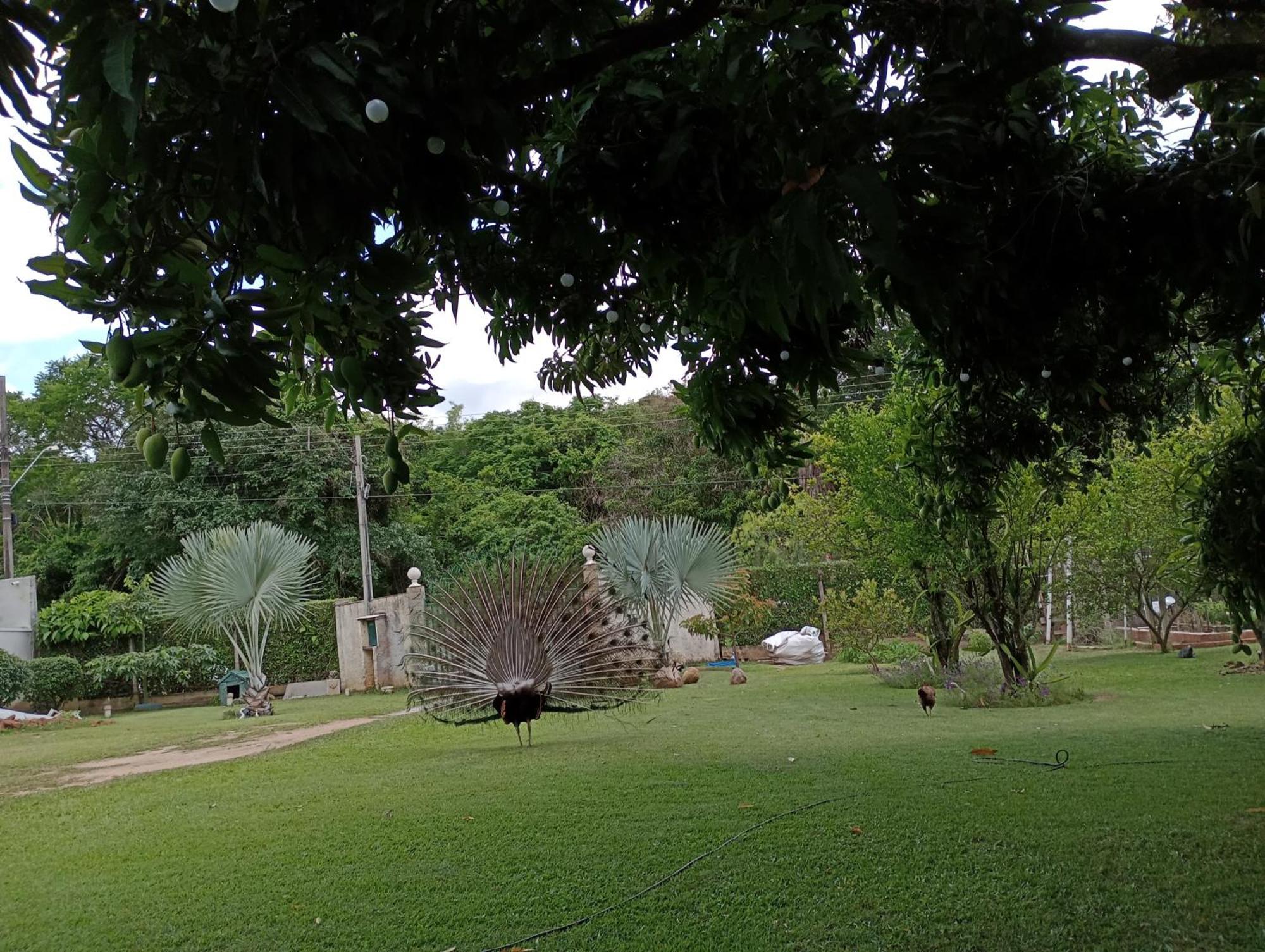 Pousada Chacara Vivalli โอลัมบรา ภายนอก รูปภาพ